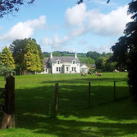 Brookhall Cottages Lisburn Exteriör bild