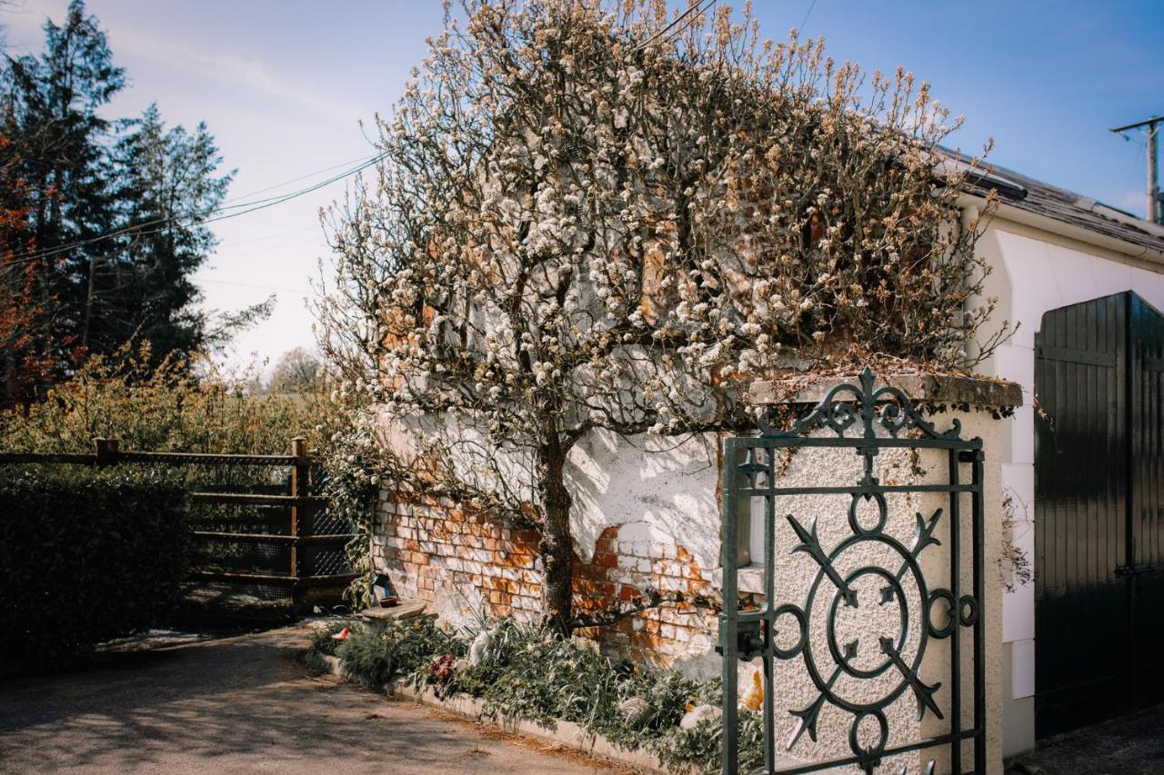 Brookhall Cottages Lisburn Exteriör bild