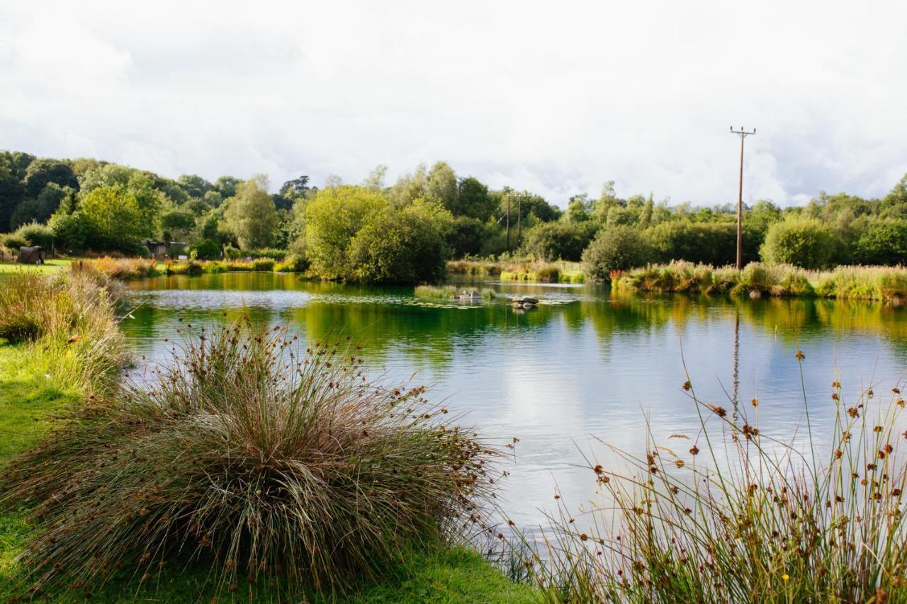 Brookhall Cottages Lisburn Exteriör bild
