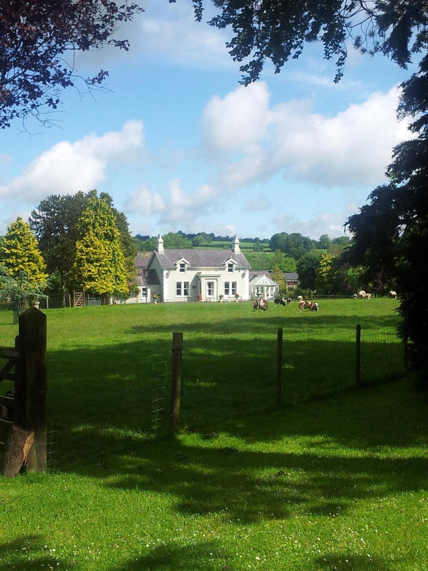 Brookhall Cottages Lisburn Exteriör bild